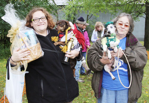 Dress-a-dog contest